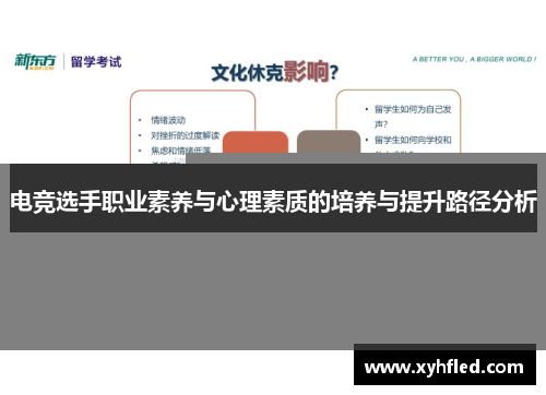 电竞选手职业素养与心理素质的培养与提升路径分析